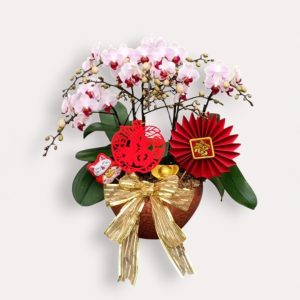 3in1 Mini w Festive Décor