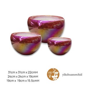 1-3 Pearl Red