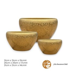 Golden Lotus Pattern