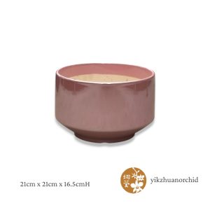 Pearl Powder