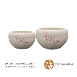 PJ-Set Two Round Orchid Face
