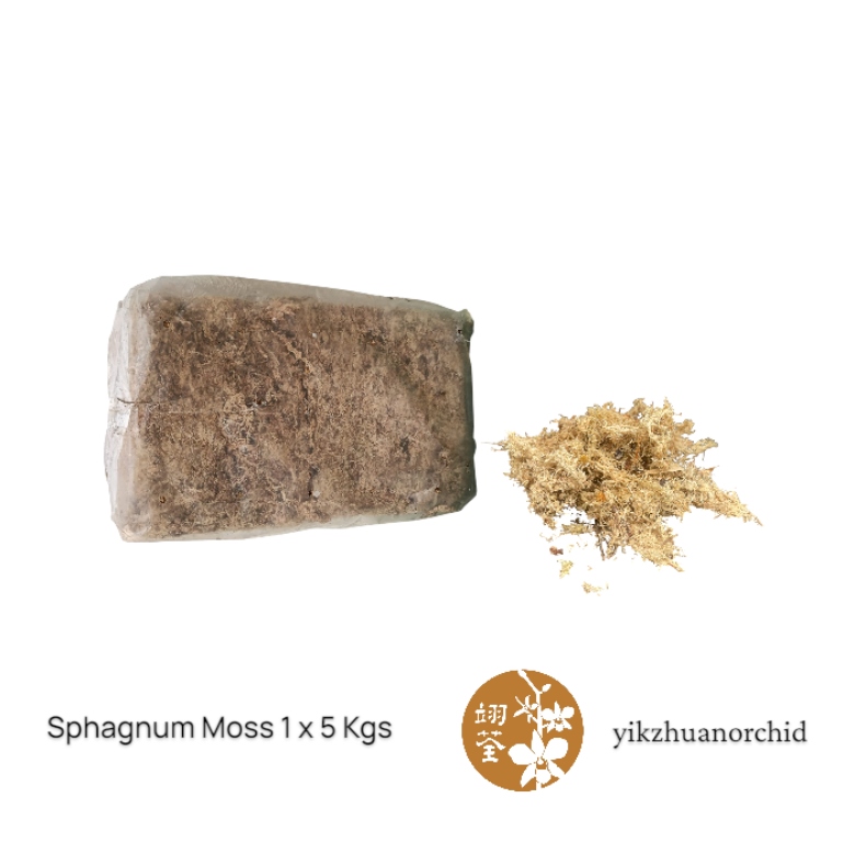 garden supplies (32)
