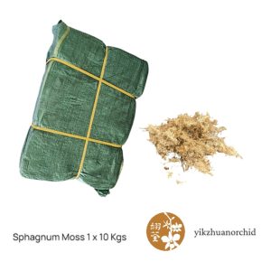 Sphahnum Moss 1 x 10 kgs