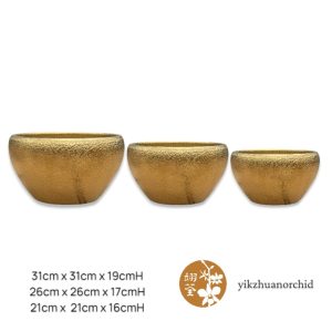115 Big Apple Gold